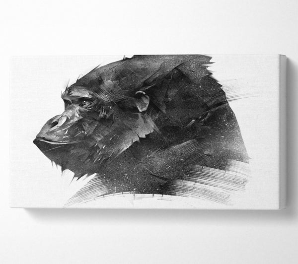 Ausgewaschener Gorilla