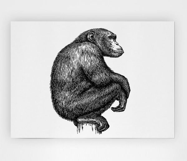 Chimpanzee Sitting Print Poster Wall Art