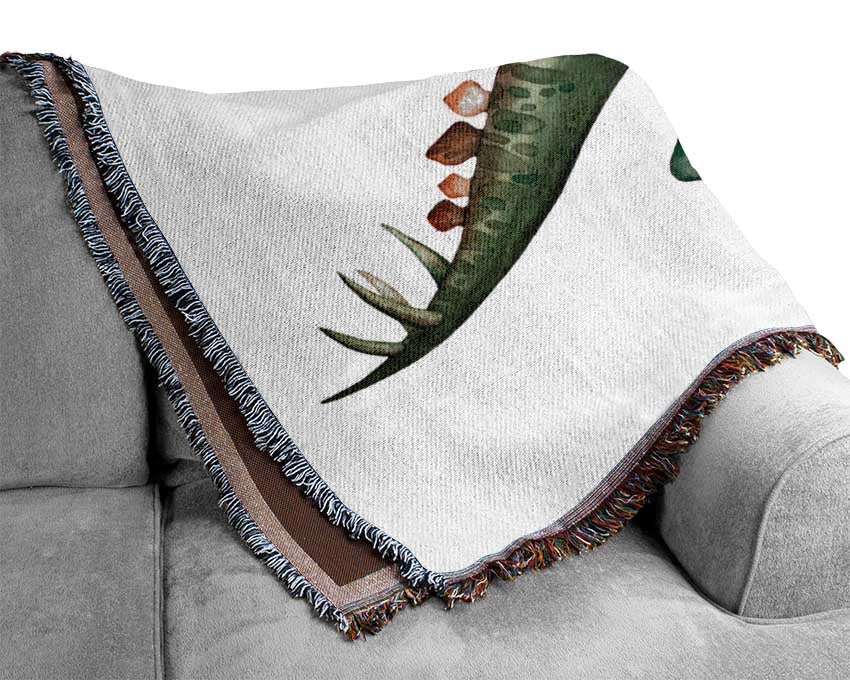 Stegosaurus Woven Blanket