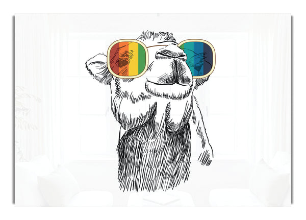 Bunte Brille Kamel