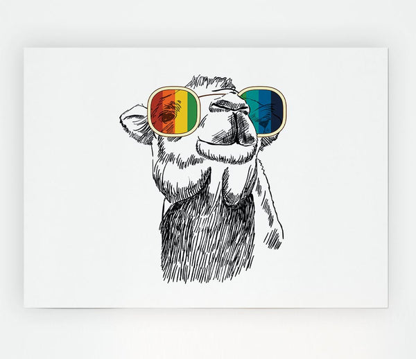 Colourful Glasses Camel Print Poster Wall Art
