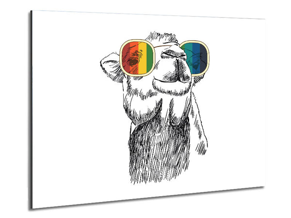 Bunte Brille Kamel