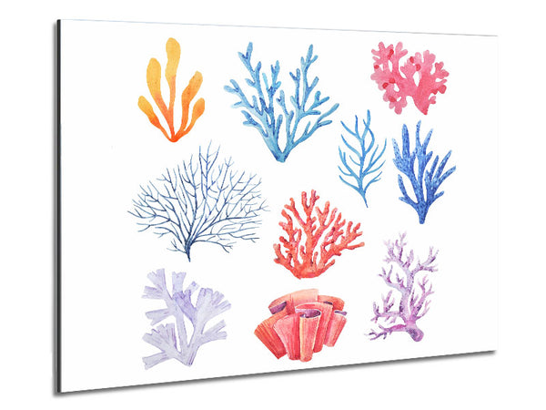 Sea Life Coral Metal Print