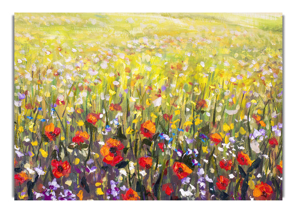The Poppies Field Of Light