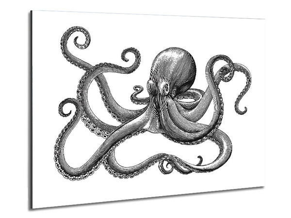 Octopus Illustration Metal Print