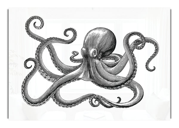 Oktopus-Illustration
