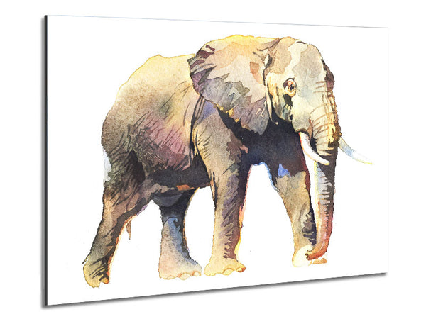 Bescheidener Elefant