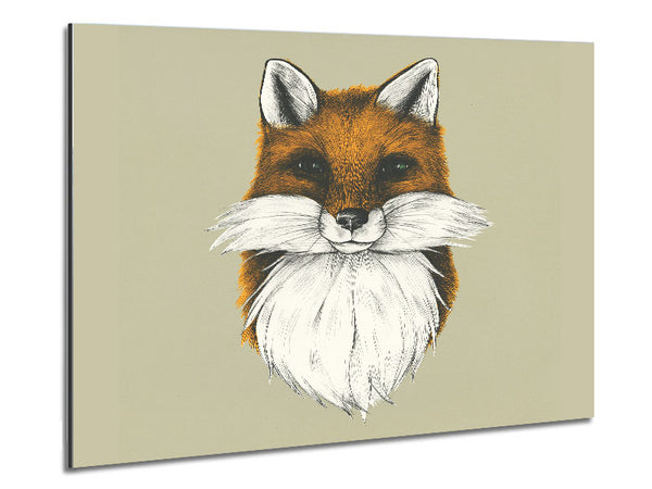 The Fox Face Metal Print