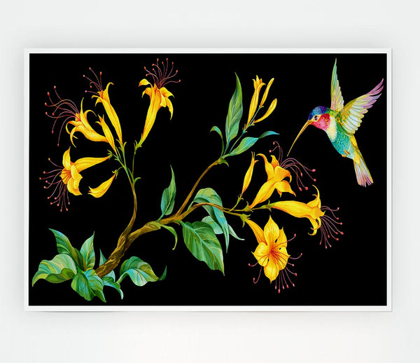 Trumpet Flower Hummingbird Print Poster Wall Art