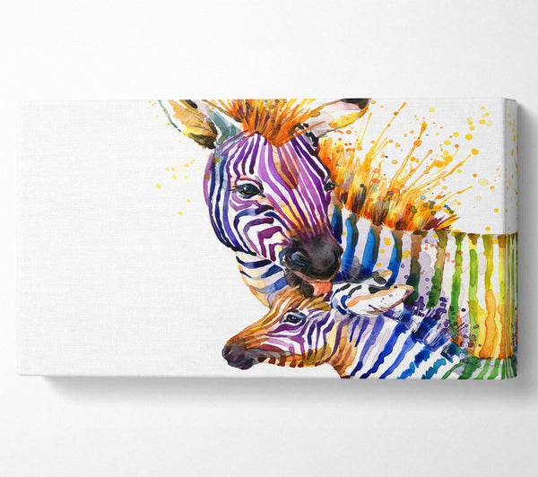 Zebra-Farbspritzer