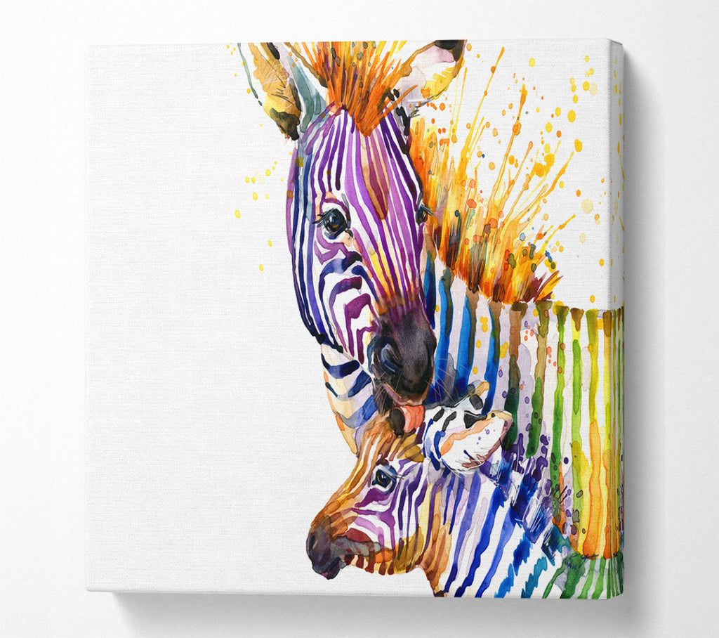 A Square Canvas Print Showing Zebra Paint Splatter Square Wall Art