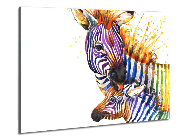 Zebra Paint Splatter