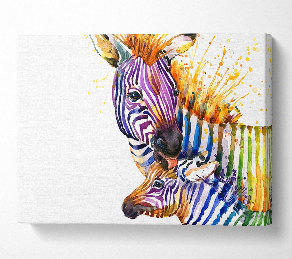 Picture of Zebra Paint Splatter Canvas Print Wall Art