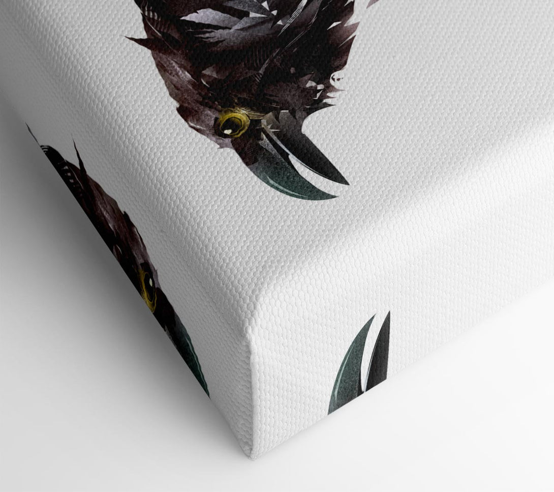  A Canvas Print of The Black Crow Canvas Print