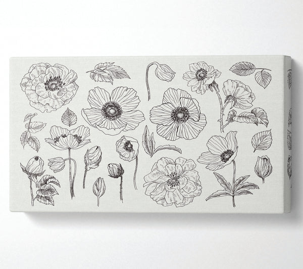 Hand Drawn Flowers Illustration