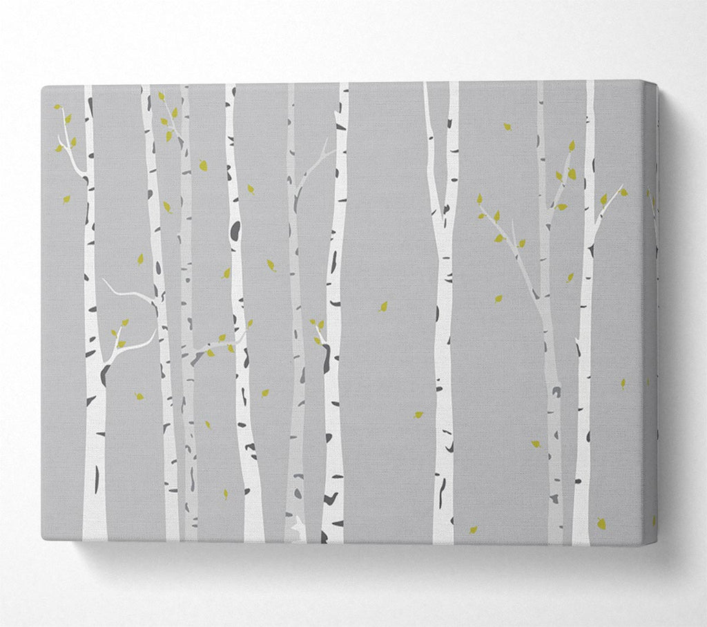 Picture of Birch Trees On Grey Canvas Print Wall Art