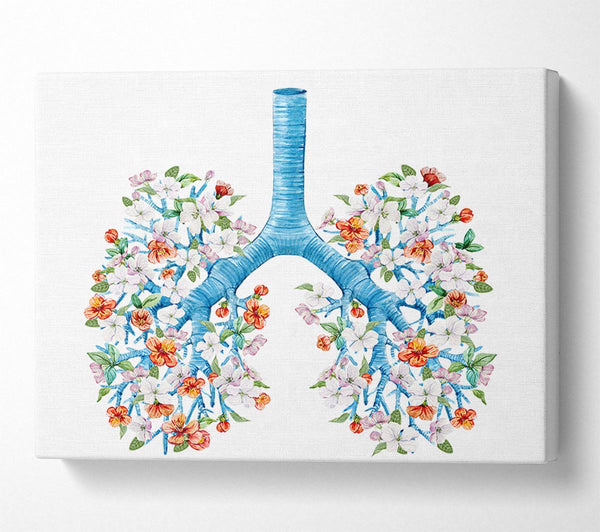 Picture of Tree Blossom Lungs Canvas Print Wall Art