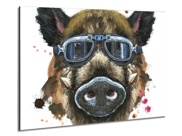 The Boar In Glasses Metal Print