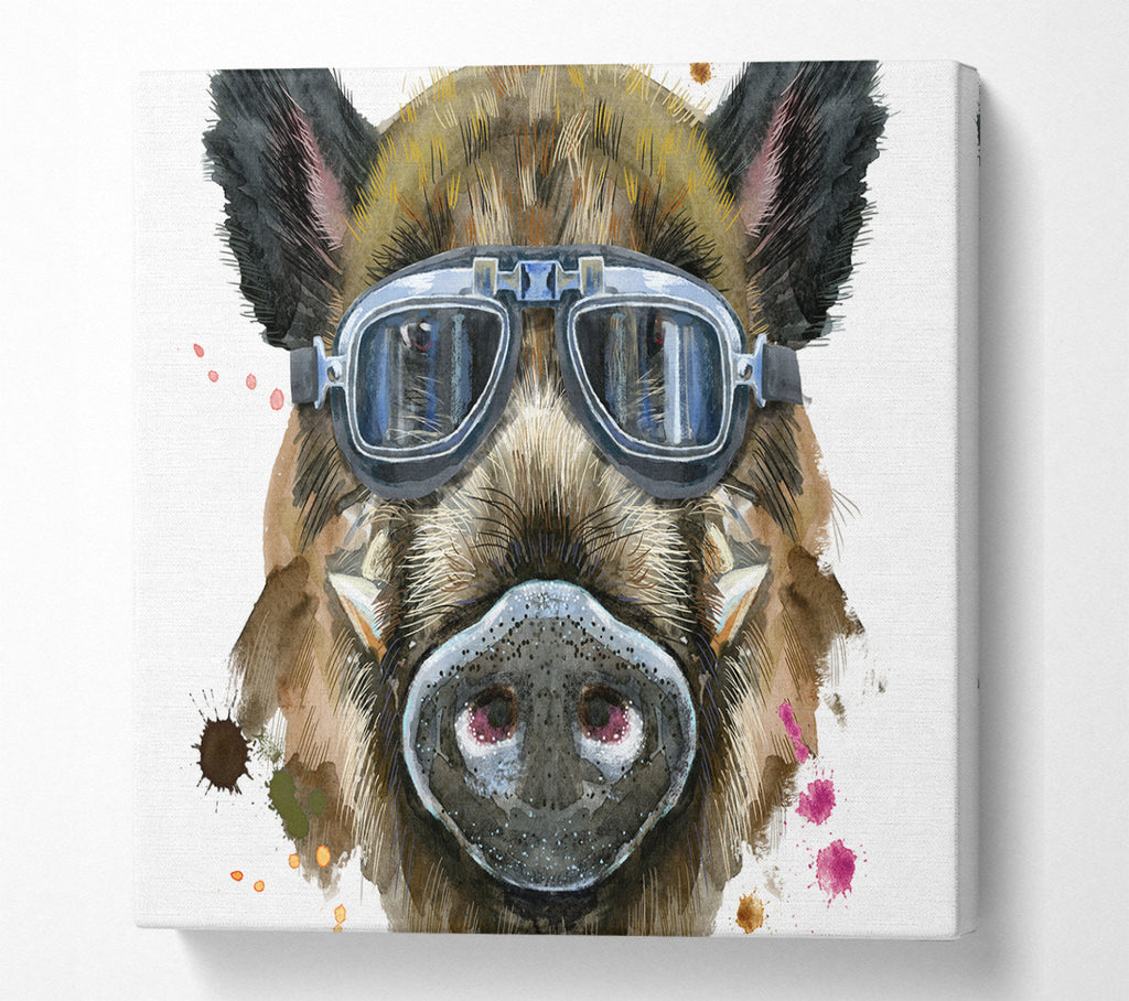 A Square Canvas Print Showing The Boar In Glasses Square Wall Art