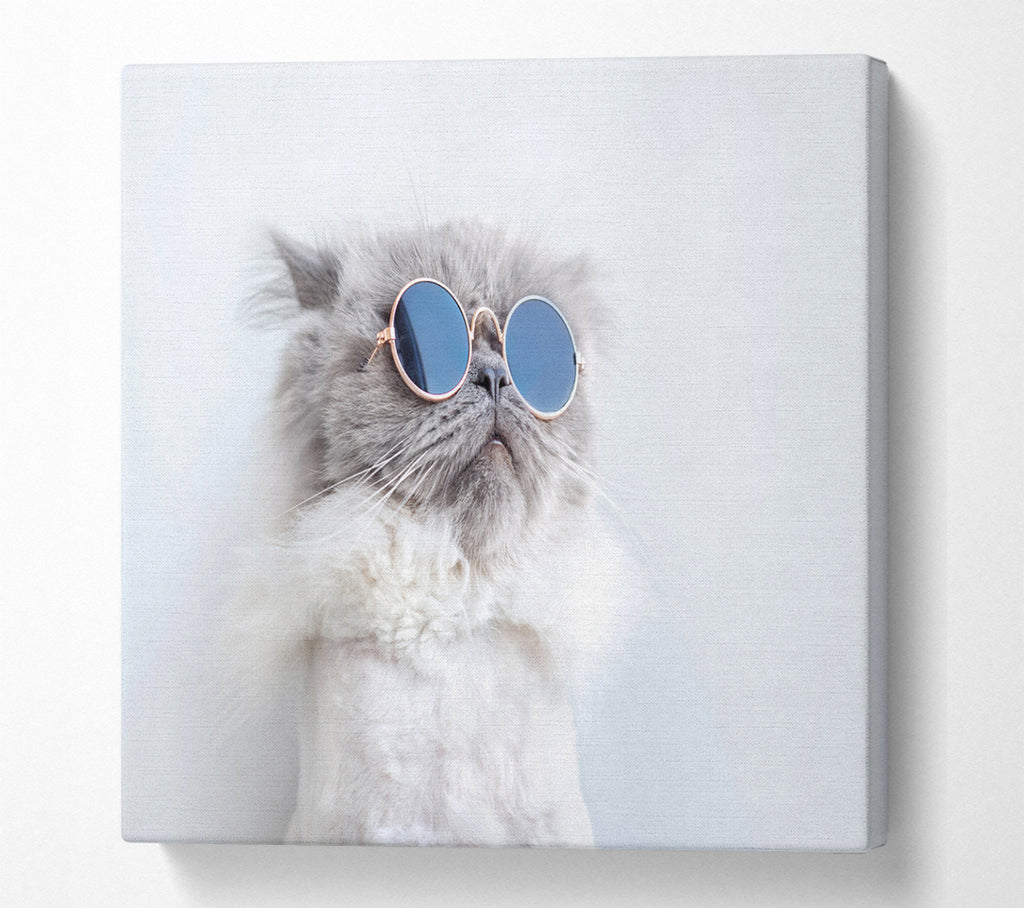 A Square Canvas Print Showing The Cat In Glasses Square Wall Art