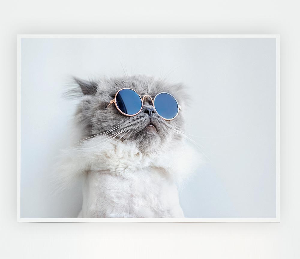 The Cat In Glasses Print Poster Wall Art