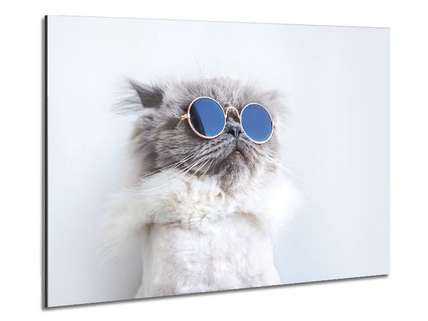 The Cat In Glasses Metal Print