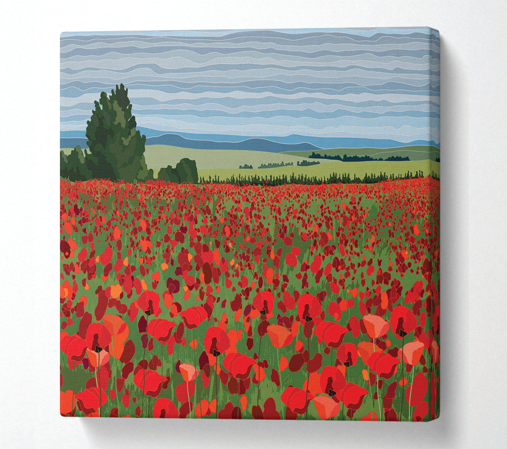 A Square Canvas Print Showing Red Poppy Field Flowers Square Wall Art