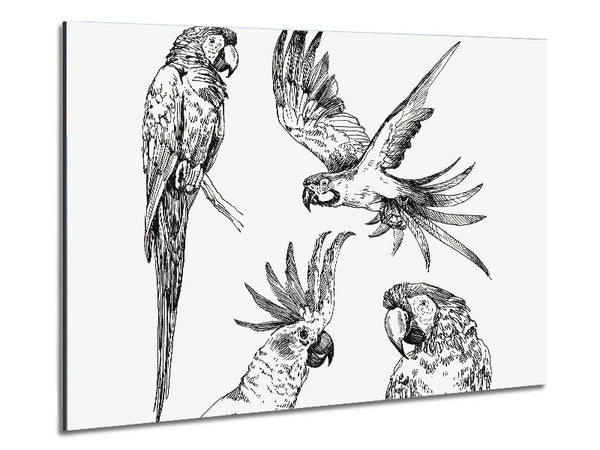 Parrots In Flight Illustration Metal Print