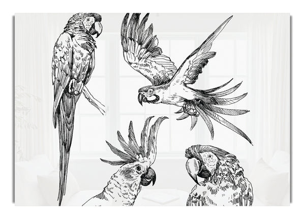 Papageien im Flug Illustration