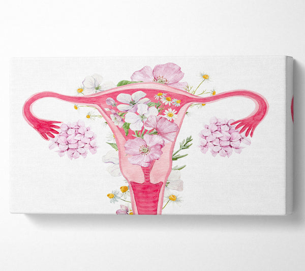 Florale weibliche Anatomie