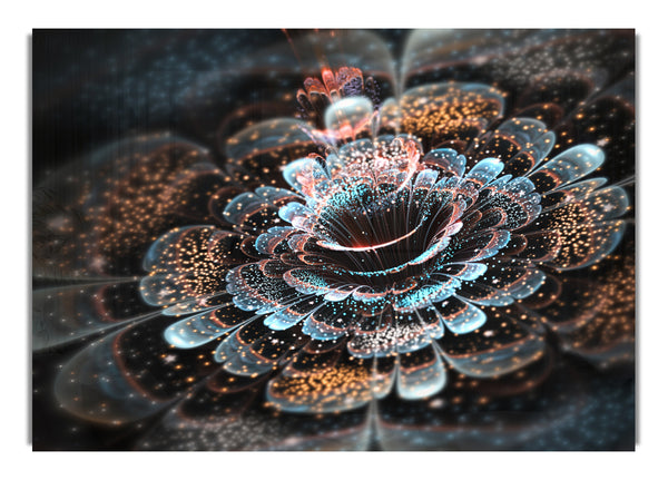 The Centre Of The Modern Flower