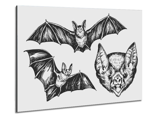 The Trio Of Bat Illustrations Metal Print