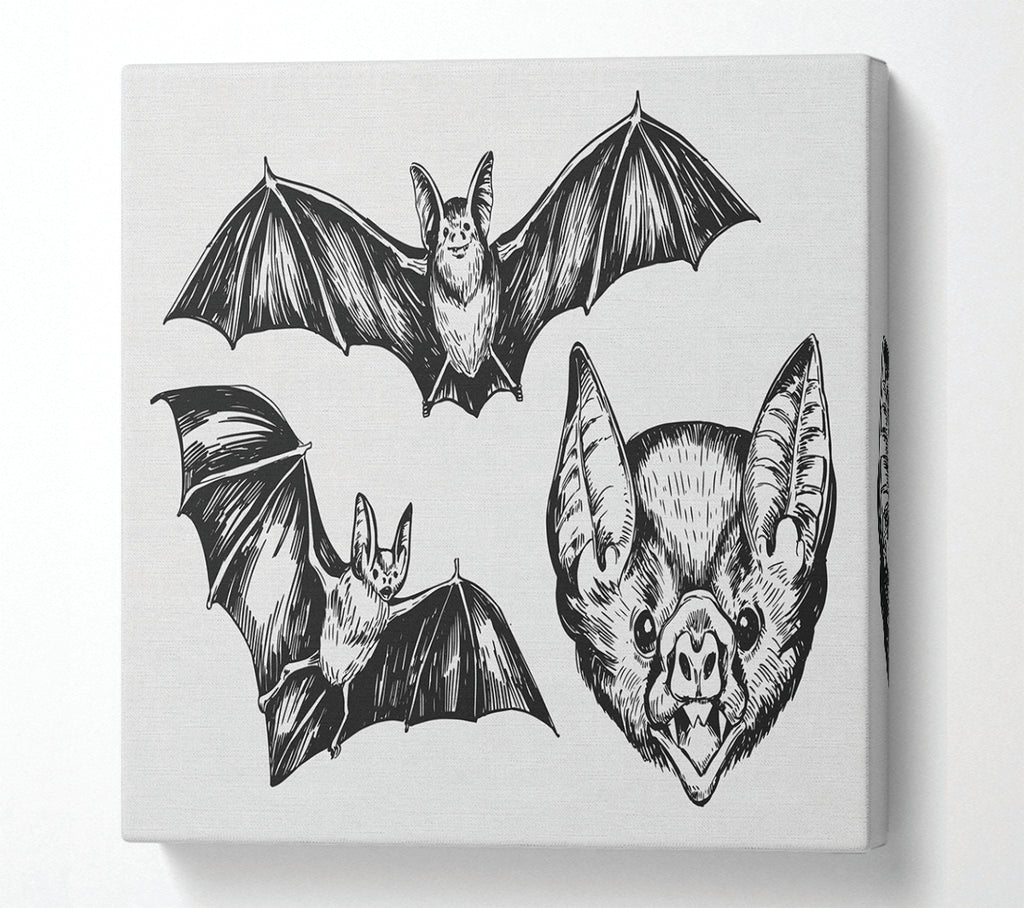 A Square Canvas Print Showing The Trio Of Bat Illustrations Square Wall Art