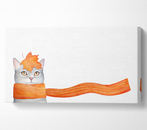 Katze mit orangefarbenem Schal