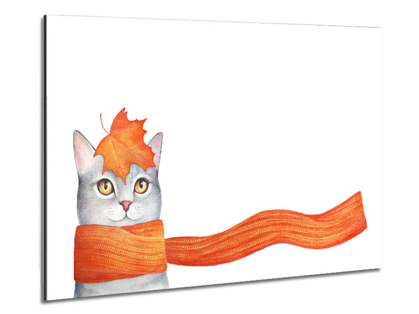 Katze mit orangefarbenem Schal