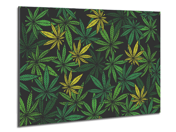Cannabisblätter