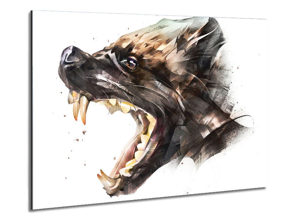 Hyena Head Metal Print