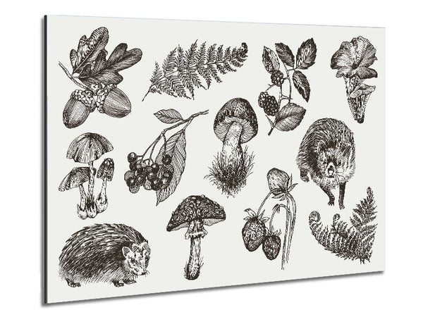 Britische Blumen und Wildtiere