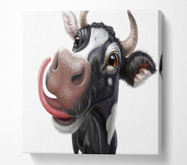 A Square Canvas Print Showing The Big Cow Lick Square Wall Art