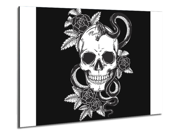 Totenkopf, Schlange, Und, Blumen