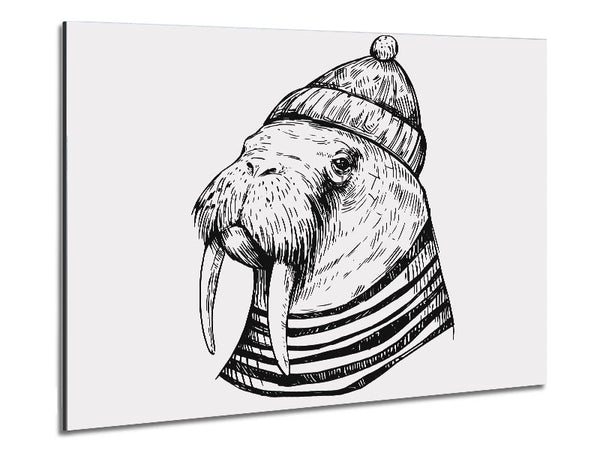 Hipster-Walross