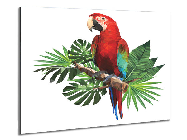 Parrot On A Branch Metal Print