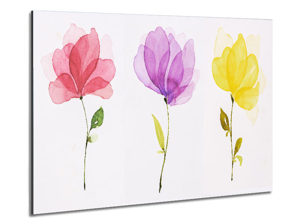 Trio aus pastellfarbenen Blumen
