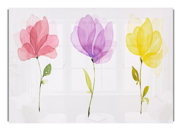 Trio Of Pastel Flowers