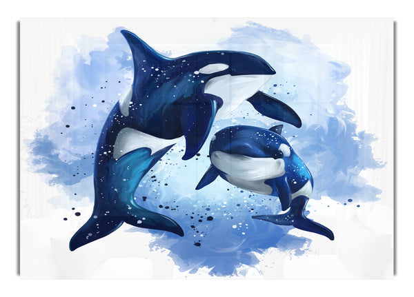 Orca-Mutter und Baby