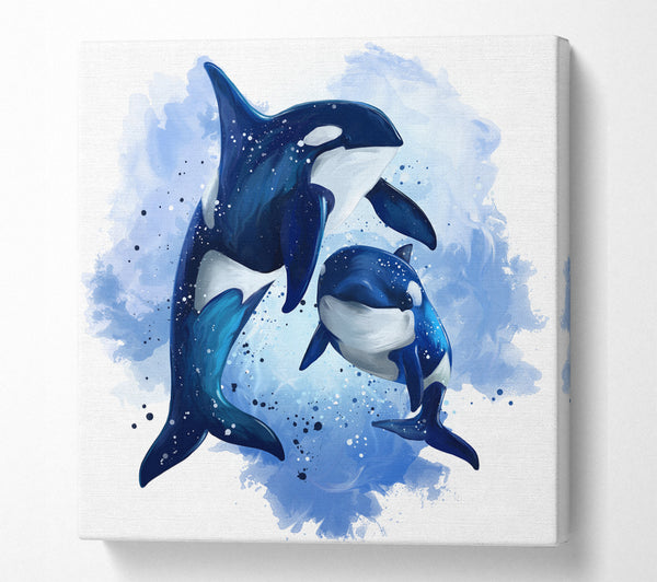 A Square Canvas Print Showing Orca Mother And Baby Square Wall Art