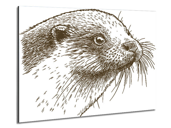 Otter Face Metal Print