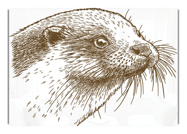 Ottergesicht