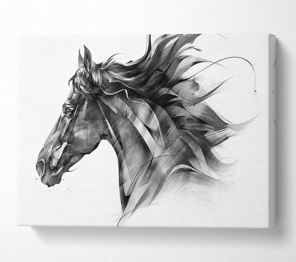  A Canvas Print of Horse Galloping Head Canvas Art