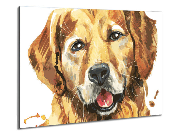 Labrador Happiness Metal Print